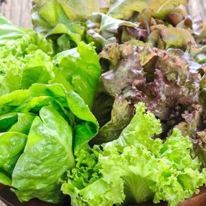 Gourmet Baby Mesclun Mix