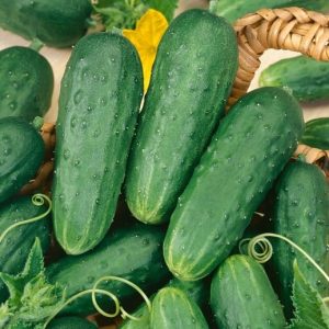 Homemade Pickle