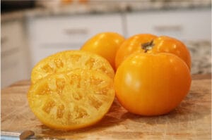 Lemon Boy Plus