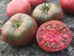 Black Krim