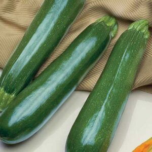Zucchini Perfection