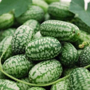 Cucamelon