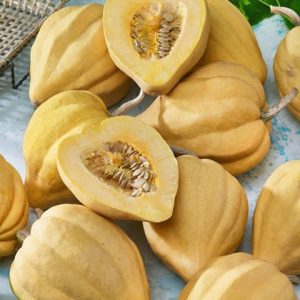 Thelma Sanders Sweet Potato
