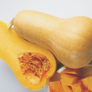 Bugle
