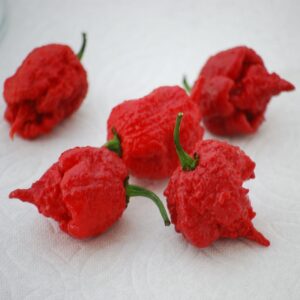 Carolina Reaper
