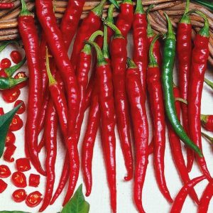 Cayenne Long Thin