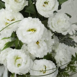 Voyage II Pure White