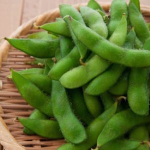 Chiba Green Soybean