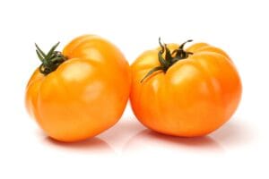 Chefs Choice Orange