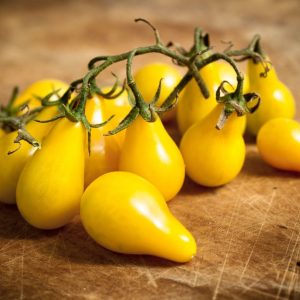 Yellow Pear