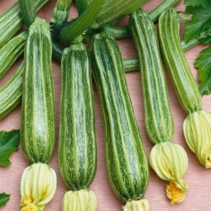 Zucchini Romanesco