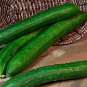 Burpless Tasty Green