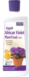African Violet Food