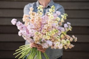 Iron Pastel Mix