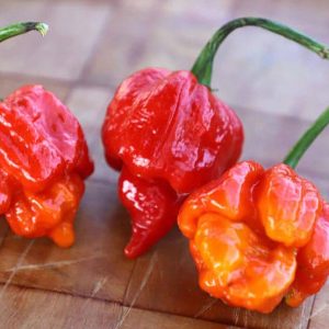 Trinidad Scorpion
