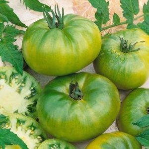 Aunt Ruby's German Green