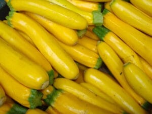 Zucchini Golden