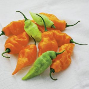 Habanada