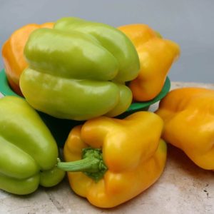Flavorburst