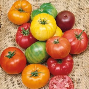 Heirloom Rainbow Blend