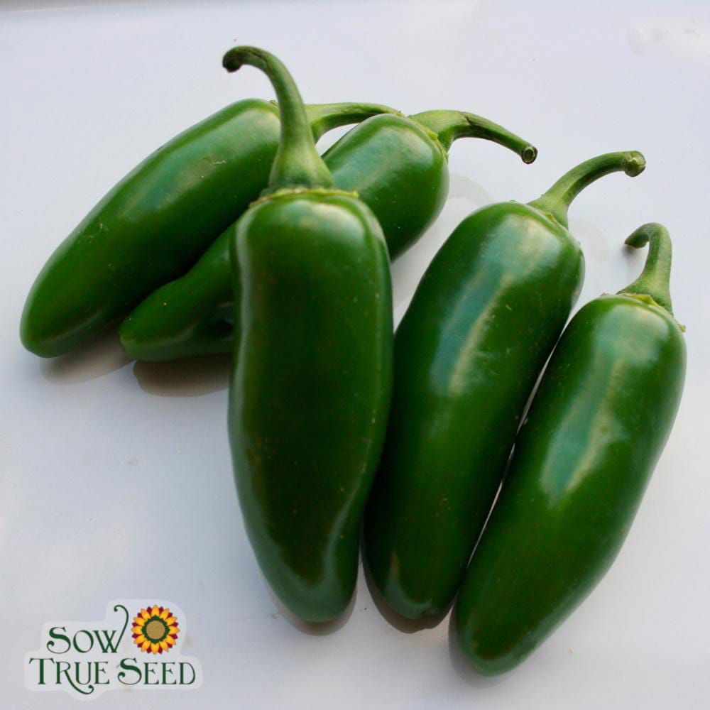 Jalapeño 2 Jalapeño - Image 2