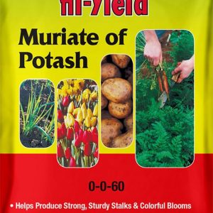 Muriate of Potash