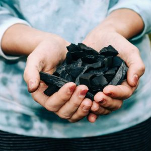 Biochar Soil Amendment