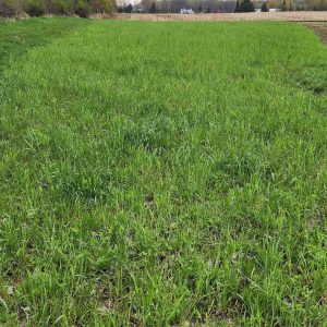 No Till Mix