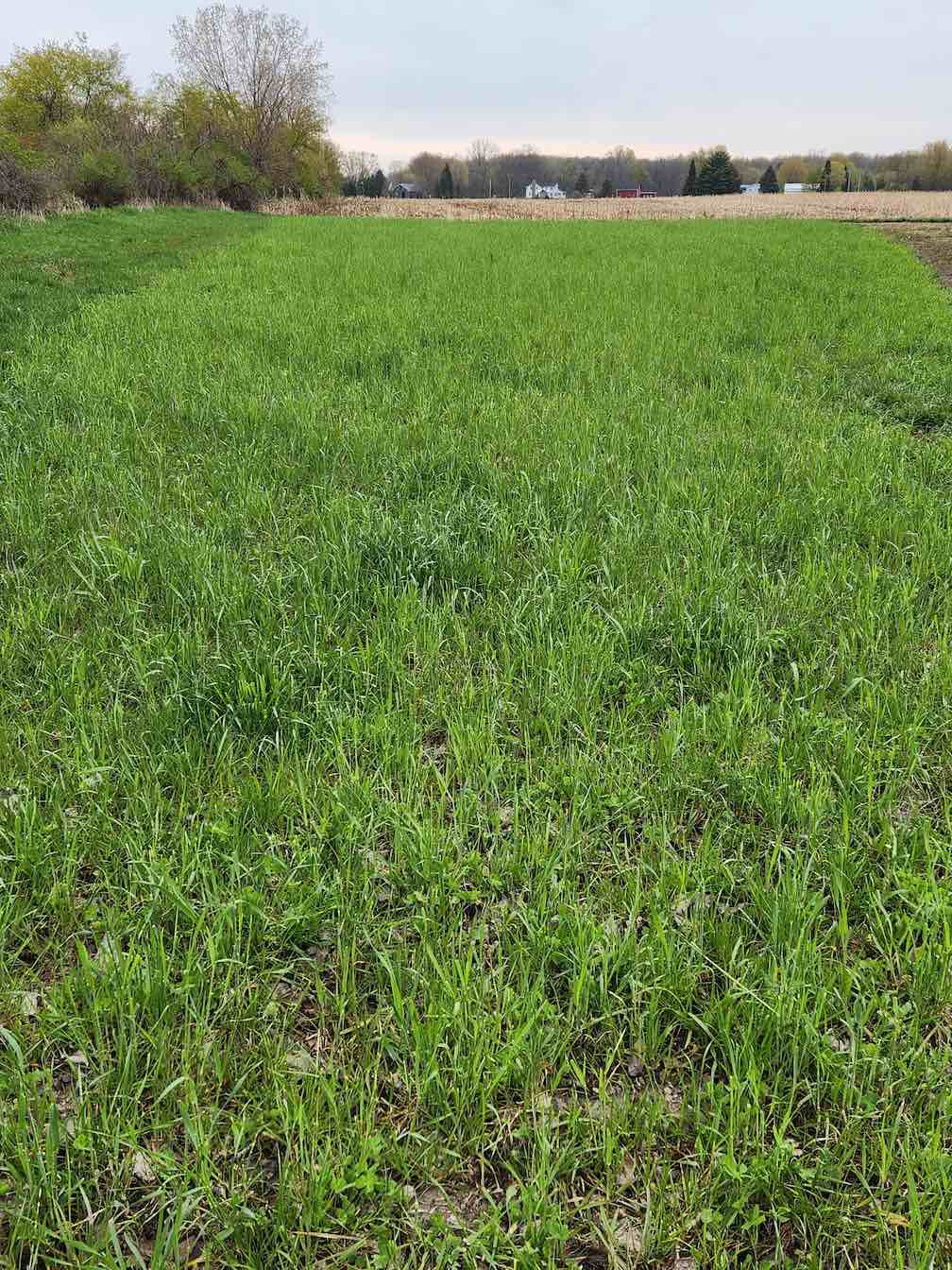 No Till Mix 1 No Till Mix