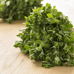 Marjoram