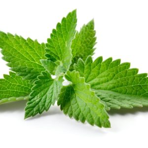 Peppermint