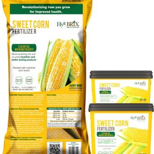 HyR Brix Sweet Corn