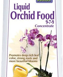 Orchid Plant Food