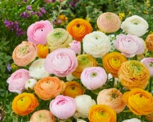 Pastel Mix