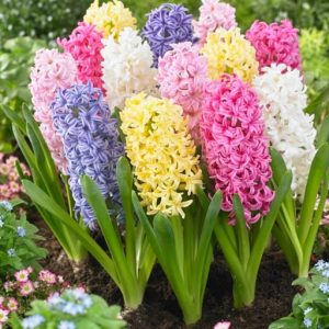 Easter Joy Mix