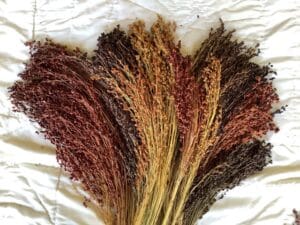 Multi-Color Broom