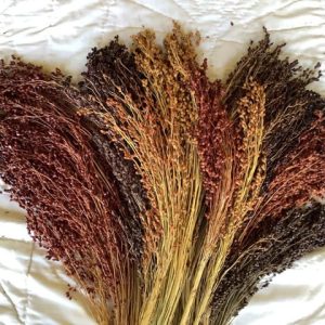 Multi-Color Broom