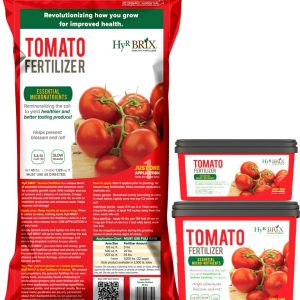HyR Brix Tomato