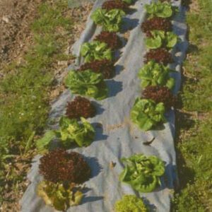 Garden Weed Barrier : 2' x 40'