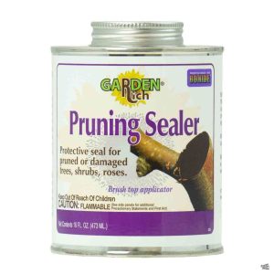 Pruning Paint & Brush