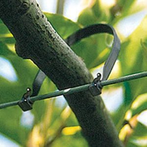 Vine Ties
