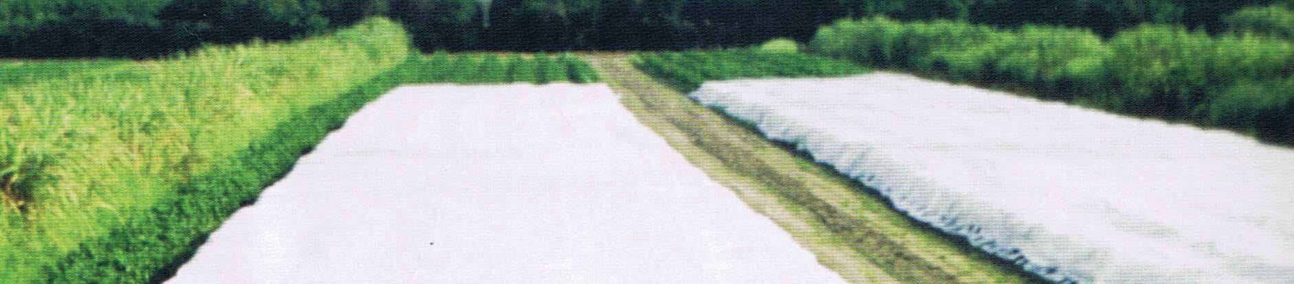Row Cover .5 oz Pro 17 2 Row Cover .5 oz Pro 17 - Image 2
