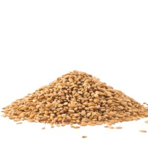 Spelt Berries