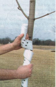 Tree Guards