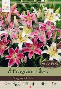 Fragrant Blend