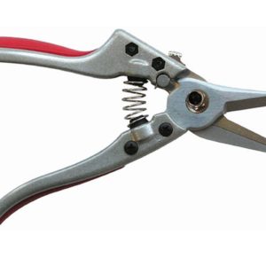 Needle Nose Pruner