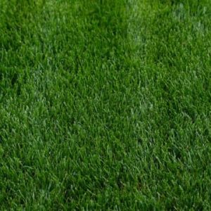 Landscapers Mix