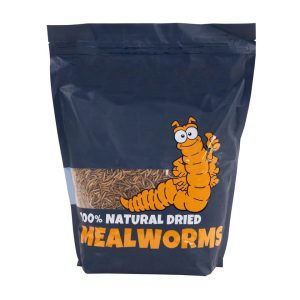 Dried Mealworms