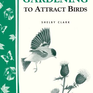 Gardening to Attract Birds