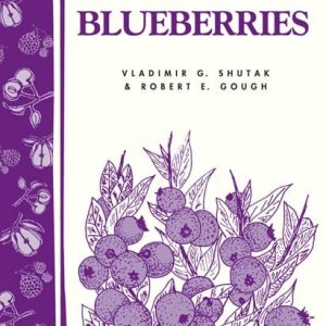 Grow the Best Blueberries